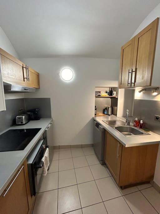 Appartamento Duplex Avec Terrasse En Hypercentre De Grenoble Esterno foto