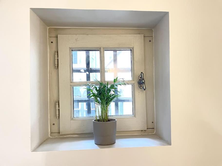 Appartamento Duplex Avec Terrasse En Hypercentre De Grenoble Esterno foto