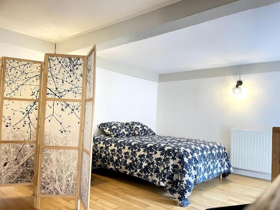 Appartamento Duplex Avec Terrasse En Hypercentre De Grenoble Esterno foto